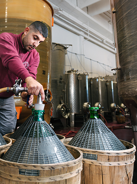 Bandini Vini - produzione1